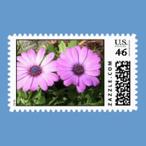 Flowers in Bloom stamps