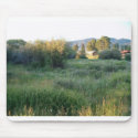 flowers in colorado mousepads by mrsrnj flowers in colorado mousepads