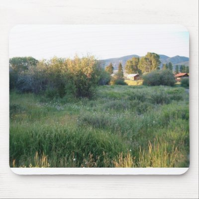 flowers in colorado mouse mats by mrsrnj