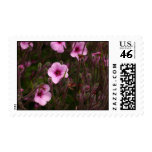 Flowers in Funchal Botanical garden postage