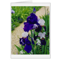 Flowers in Monet's Garden cards
