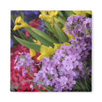 Flowers in Multiple Colors magnets by White_Wedding Flowers in Multiple Colors magnets