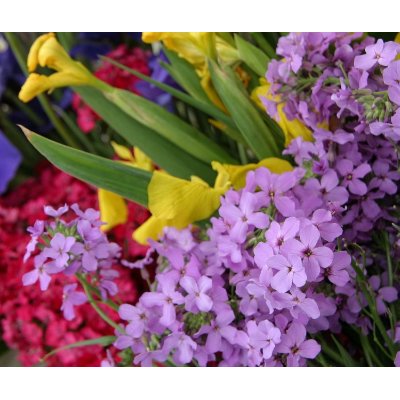 Flowers in Multiple Colors mousepad