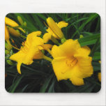flowers in orange mouse pads