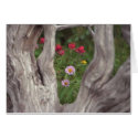 Flowers in The Breeze cards by Satin77 Flowers in The Breeze cards