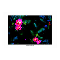 Flowers in the dark #2 posters by IslandEarth Flowers in the dark #2 posters