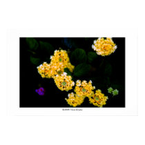 Flowers in the dark #3 posters by IslandEarth Flowers in the dark #3 posters