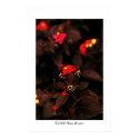 Flowers in the dark #4 posters