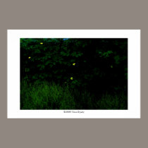 Flowers in the dark #8 posters