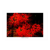 Flowers in the dark #9 posters by IslandEarth Flowers in the dark #9 posters