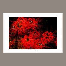 Flowers in the dark #9 posters