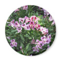 flowers in the garden magnets
