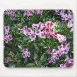 flowers in the garden mouse pad
