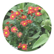 flowers in the garden stickers by DonnaGrayson_Photos flowers in the garden stickers