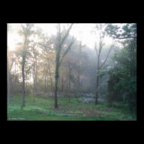 Flowers in the Mist posters