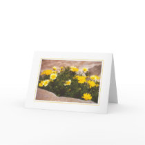 Flowers in the Ruins cards by HLBeach Flowers in the Ruins cards