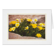 Flowers in the Ruins Cards