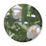 Flowers in the Shadows Magnets Flowers in the Shadows Magnets
