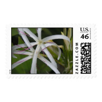 Flowers in the Wild stamps