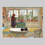 Flowers in the Window Box - Blomsterforstet postcards