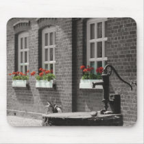flowers in the window mousepads by harsenagel flowers in the window mousepads