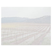 Flowers in vineyard, Alexander Valley, California, Personalized Letterhead