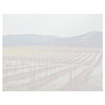 Flowers in vineyard, Alexander Valley, California, Personalized Letterhead