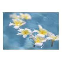Flowers in water posters by litheblue Flowers in water posters