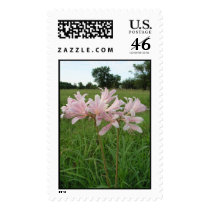 flowers.jpg postage by jessieclinton flowers.jpg postage