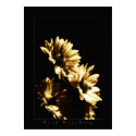 flowers keep reaching posters