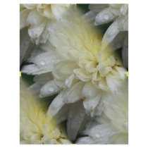 flowers letterhead by PhotoLisa flowers letterhead