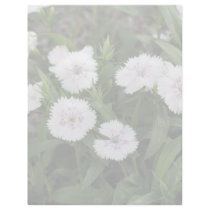 flowers letterhead