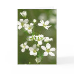 Flowers Love cards