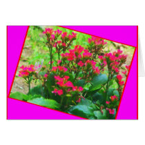 Flowers love cards by KatAnnette Flowers love cards