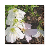 Flowers magnets