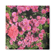 flowers magnets by DonnaGrayson_Photos flowers magnets
