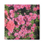 flowers magnets