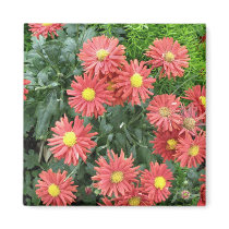 flowers magnets by DonnaGrayson_Photos flowers magnets