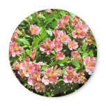 flowers fridge magnet