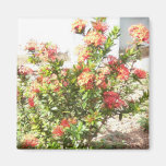 Flowers Magnet
