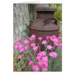 Flowers & Milk Jug
