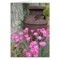 Flowers & Milk Jug cards by Trudy2 Flowers & Milk Jug cards