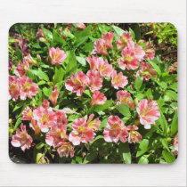 flowers mousepads