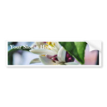Flowers Myer Lemons Trees bumper stickers by lifesphere Flowers Myer Lemons Trees bumper stickers