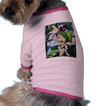 Flowers Myer Lemons Trees pet clothing by lifesphere Flowers Myer Lemons Trees pet clothing