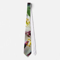 Flowers Myer Lemons Trees ties