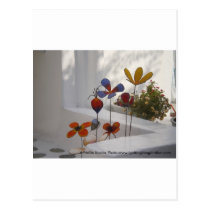 Flowers-Mykonos, Greece postcards