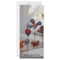 Flowers-Mykonos, Greece Rack Cards