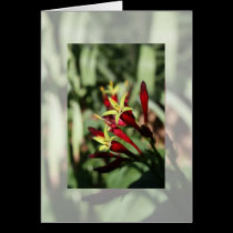 Flowers Notecard cards
