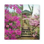 Flowers of Costa Rica 01 Magnet